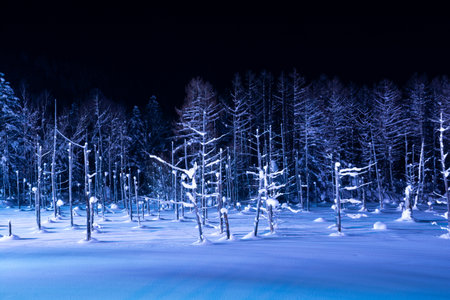 Illuminated snow-covered lake at night in Biei