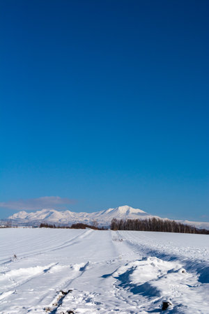 Beautiful winter landscape with snow covered field and mountain in Hokkaido Japanの写真素材