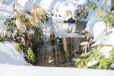 Winter landscape with snow covered trees and stream in the forest.の写真素材
