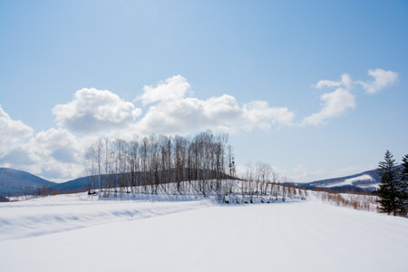Winter landscape with snow-covered trees and blue sky with white cloudsの写真素材