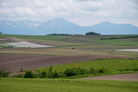 Agricultural landscape in springtime with green fields and mountains in the backgroundの写真素材