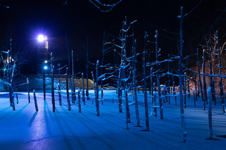 Illuminated fantastic winter blue pond in Bieiの写真素材