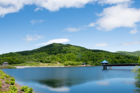 Lake reflection beautiful fresh greeneryの写真素材