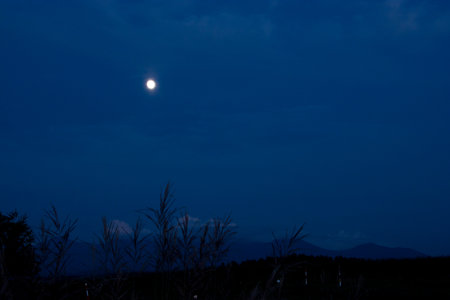 Moon in the night sky with silhouette of grass and mountain background.の写真素材