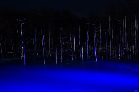 Illuminated snow-covered lake at nightの写真素材