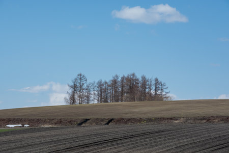 Spring landscape with a plowed field and a forest in the backgroundの写真素材