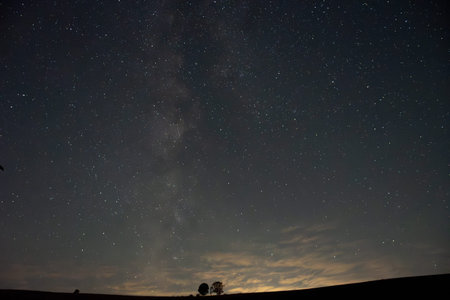 Milky Way and Silhouette of tree in the field.
