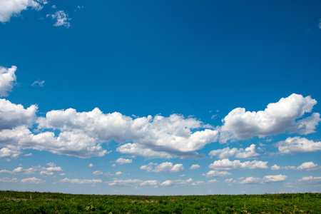 clouds in the blue sky over a green meadow in spring