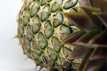 Close-up of pineapples, you can clearly see the bark and green shoots.の写真素材
