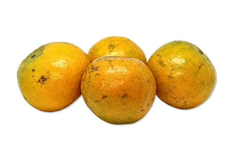 Unattractive orange peels, often sold cheaply on a white backgroundの写真素材