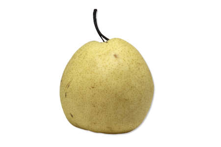 Yellow pear, rough skin, unattractive, often sold cheaply on a white backgroundの写真素材