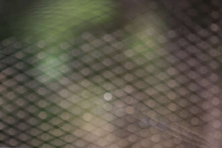 Bokeh The light reflected from the sun hits the net that surrounds the duck paddock.の写真素材