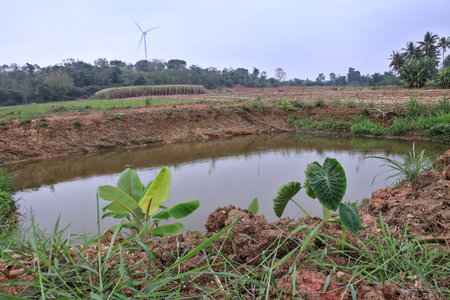 Farmers will dig wells to store water for use during the dry season. And popularly planted various perennials by the pond to prevent soil erosion.の写真素材