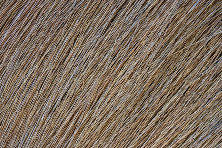 The abstract background image was obtained from the floor broom panel.の写真素材