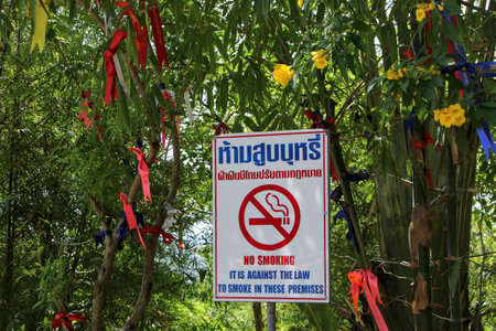 Smoking is prohibited for tourists to prevent forest fires. Violators will be fined according to the law.の写真素材