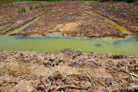 A pond dug for water storage has a small amount of water and scattered aquatic plants. View from the...