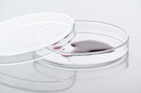 Close-up of blood sample or red chemical liquid on petri dish in the medical laboratory- analyzes and diagnostics concept- on white backgroundの写真素材