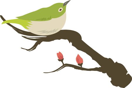 Image illustration of mejiro and plum blossomsのイラスト素材