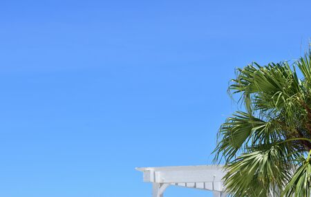 Palm trees, white roof and blue sky/ Okinawaの写真素材