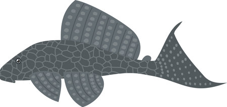 Image illustration of ornamental tropical fish plecoのイラスト素材