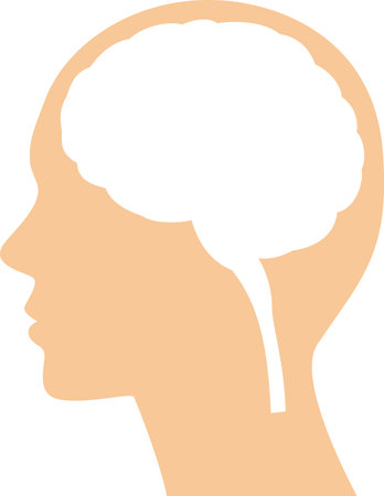 Illustration of the brain inside the human head seen from the sideのイラスト素材