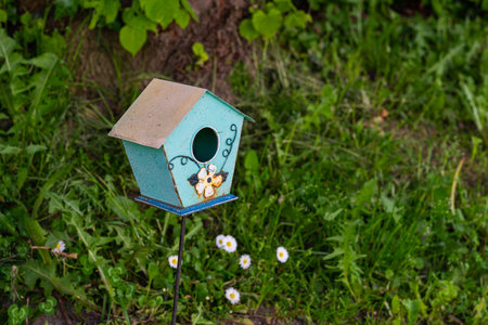 Small bird house on a background of green grass with daisies. Closeup.の写真素材