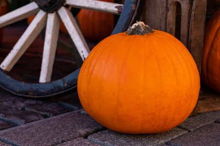 A large orange pumpkin lying on the background of a cartwheel. close upの写真素材