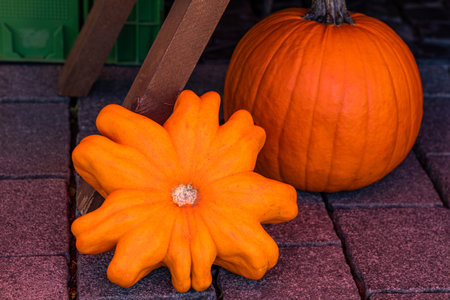 Two orange pumpkins lie on a paved road. close upの写真素材