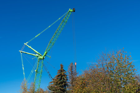 A green tower crane against a blue sky. Below are trees with autumn foliage.の写真素材
