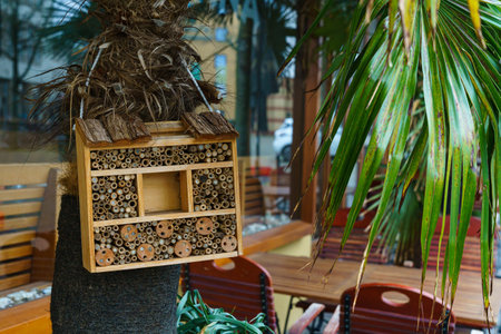 Wooden house for insects installed in a roadside cafe on palm. Close up.の写真素材
