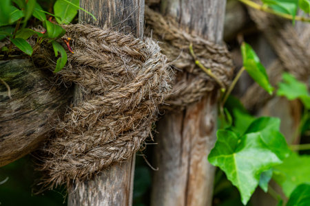 Old shaggy rope tied around a wooden pole. Close up.の写真素材