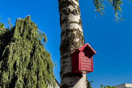 A vibrant red birdhouse is affixed to the trunk of a birch tree. Clear blue skies and lush green foliage surround the scene, creating a peaceful garden atmosphere.の写真素材
