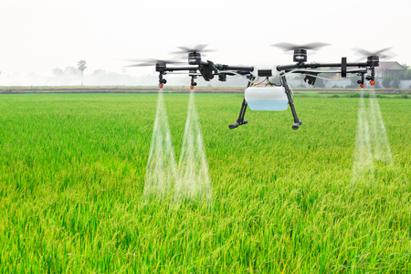 Agriculture drone fly to sprayed fertilizer on the rice fieldsの写真素材