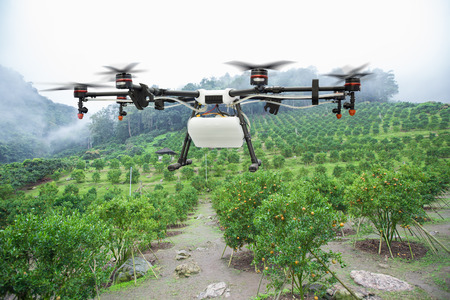 Agriculture drone flying above orange garden at hillの写真素材