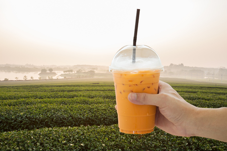 Hand holding ice milk tea on tea field backgroundの写真素材
