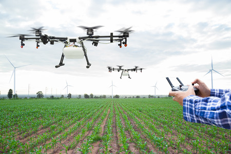 Farmer control agriculture drone fly to sprayed fertilizer on the green corn fieldの写真素材