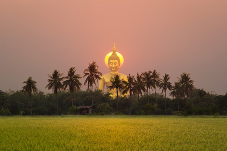 Big golden buddha at Wat Muang in Angthong province, Thailandの写真素材