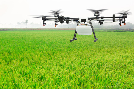 Agriculture drone flying on the green rice fieldの写真素材