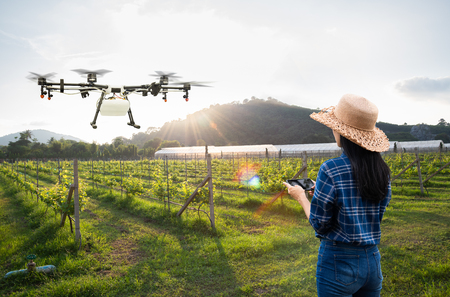 Woman farmer use smart phone control agriculture drone fly to sprayed fertilizer on the grape fields, Smart farm 4.0 conceptの写真素材