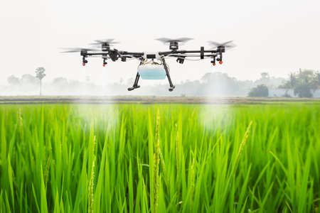 Agriculture drone fly to sprayed fertilizer on the rice fields, Smart farm conceptの写真素材