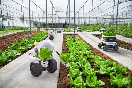 Agriculture robotic and autonomous car working in smart farm, Future 5G technology with smart agriculture farming concept, 3d renderの写真素材