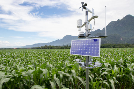 Weather station in corn field, 5G technology with smart farming conceptの写真素材