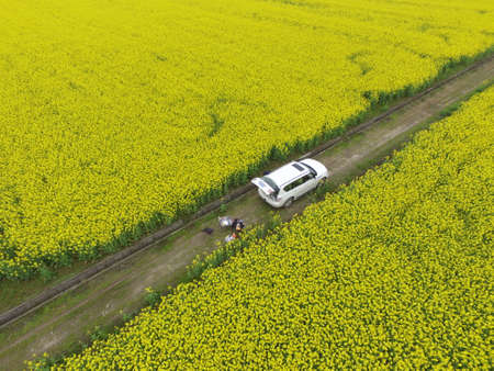 Camping out door in Spring Cole Blossomsの写真素材
