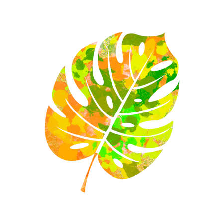 rich color monstera branch macro illustrationの写真素材