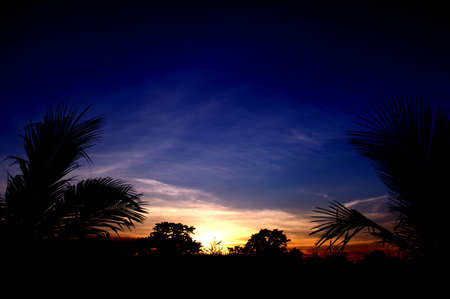 two palm trees silhouette and the sunset skyの写真素材
