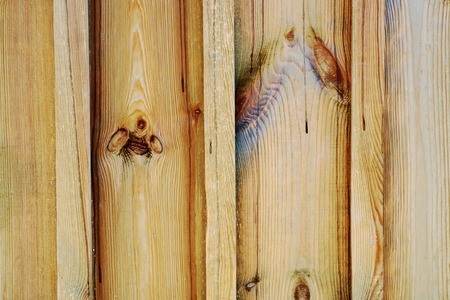 Light wood texture background background with old natural pattern. Texture. Background.の写真素材