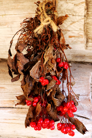 Branches of dried rowan with red bunches. Background.の写真素材