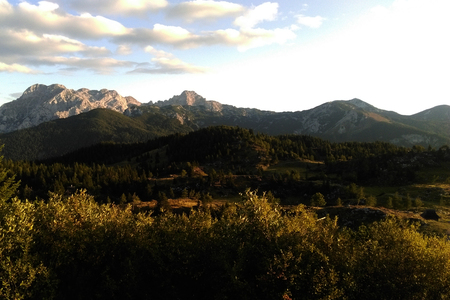 view of the mountains and the forest during sunrise.の写真素材