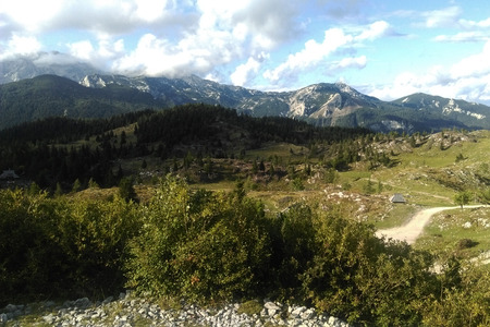 A view of the mountains with green trees and a beautiful sky.の写真素材