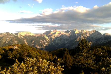 view of the mountains and the forest during sunrise.の写真素材